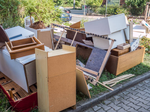 Best Electronics Removal Services  in Barnesville, MN